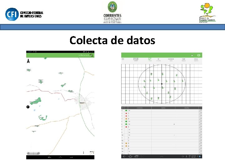 Colecta de datos 