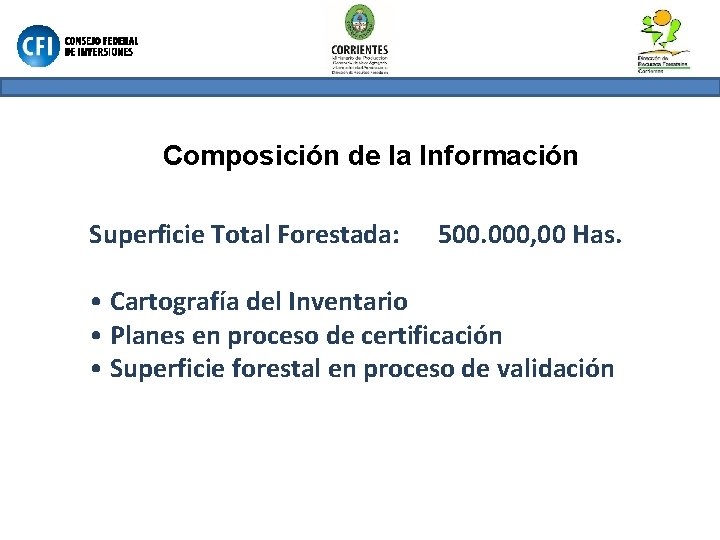 Composición de la Información Superficie Total Forestada: 500. 000, 00 Has. • Cartografía del