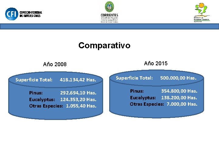 Comparativo Año 2008 Superficie Total: 418. 134, 42 Has. Pinus: 292. 694, 10 Has.