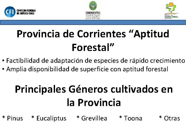 Provincia de Corrientes “Aptitud Forestal” • Factibilidad de adaptación de especies de rápido crecimiento