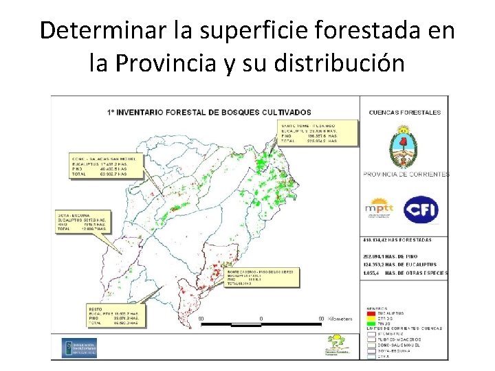 Determinar la superficie forestada en la Provincia y su distribución 