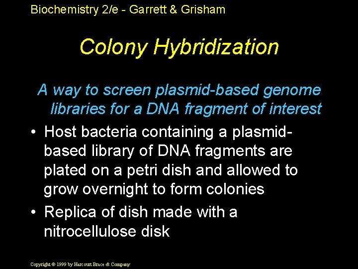 Biochemistry 2/e - Garrett & Grisham Colony Hybridization A way to screen plasmid-based genome