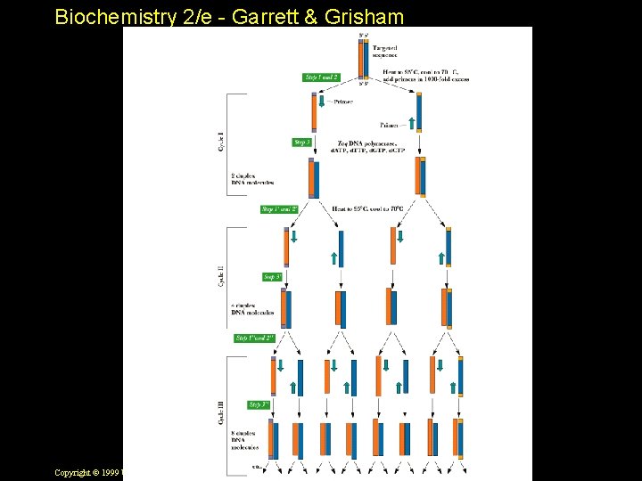 Biochemistry 2/e - Garrett & Grisham Copyright © 1999 by Harcourt Brace & Company