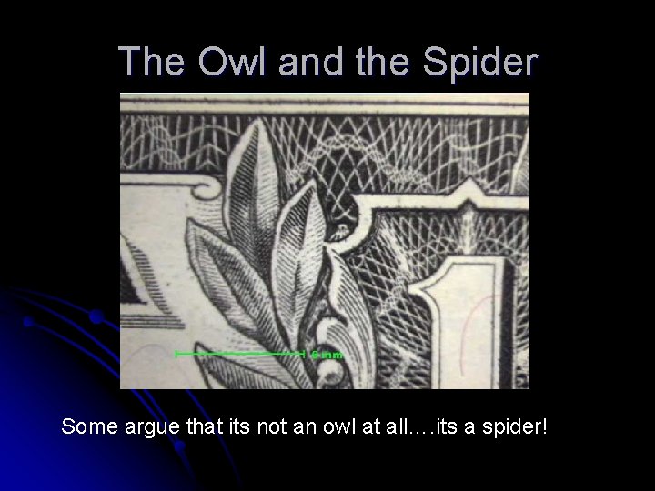 The Owl and the Spider Some argue that its not an owl at all….