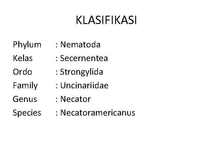 KLASIFIKASI Phylum Kelas Ordo Family Genus Species : Nematoda : Secernentea : Strongylida :