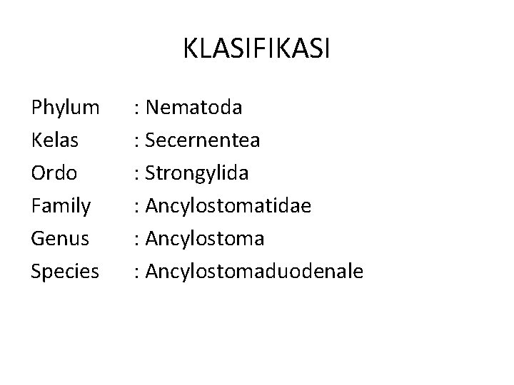 KLASIFIKASI Phylum Kelas Ordo Family Genus Species : Nematoda : Secernentea : Strongylida :