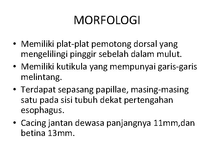 MORFOLOGI • Memiliki plat-plat pemotong dorsal yang mengelilingi pinggir sebelah dalam mulut. • Memiliki