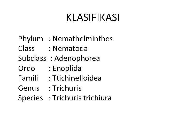 KLASIFIKASI Phylum : Nemathelminthes Class : Nematoda Subclass : Adenophorea Ordo : Enoplida Famili