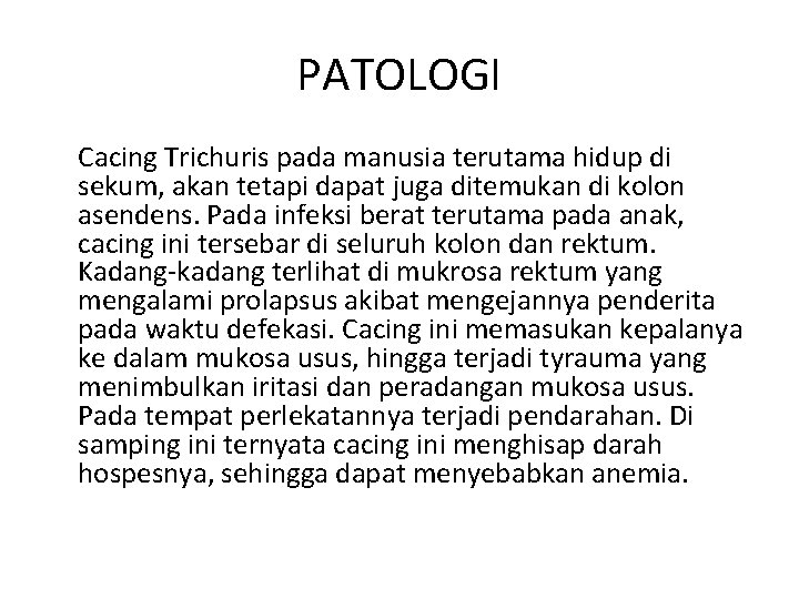 PATOLOGI Cacing Trichuris pada manusia terutama hidup di sekum, akan tetapi dapat juga ditemukan