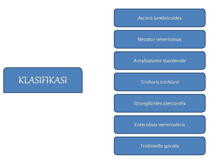 Ascaris lumbricoides Necator americanus Ancylostoma duodenale KLASIFIKASI Trichuris trichiura Strongiloides stercoralis Enterobius vermicularis Trichinella