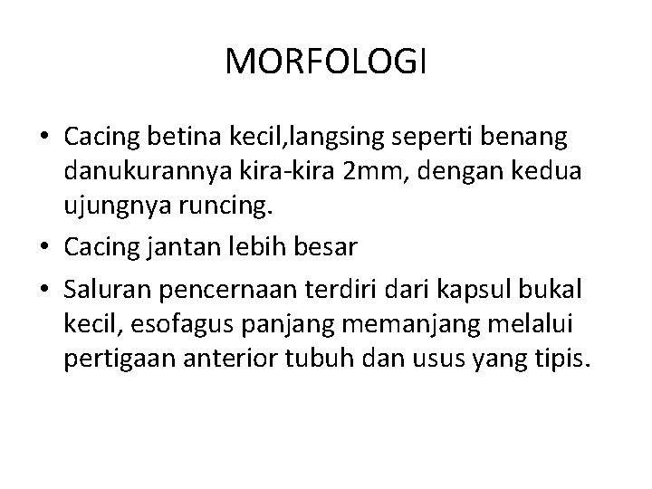 MORFOLOGI • Cacing betina kecil, langsing seperti benang danukurannya kira-kira 2 mm, dengan kedua