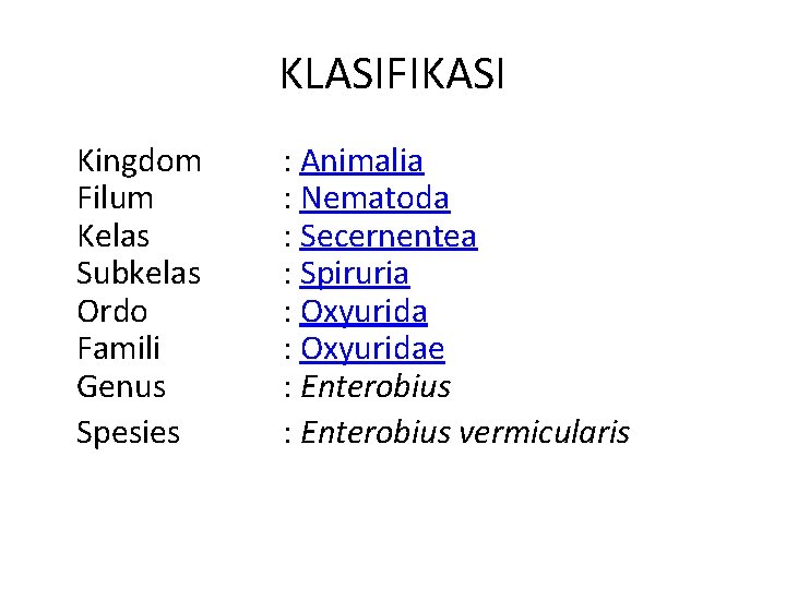 KLASIFIKASI Kingdom Filum Kelas Subkelas Ordo Famili Genus Spesies : Animalia : Nematoda :