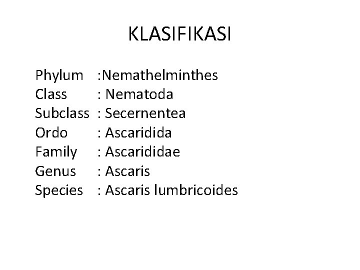 KLASIFIKASI Phylum : Nemathelminthes Class : Nematoda Subclass : Secernentea Ordo : Ascaridida Family