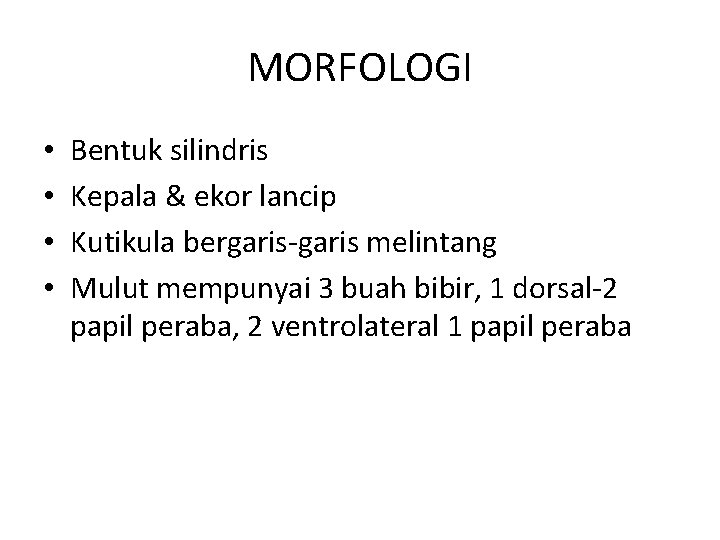 MORFOLOGI • • Bentuk silindris Kepala & ekor lancip Kutikula bergaris-garis melintang Mulut mempunyai