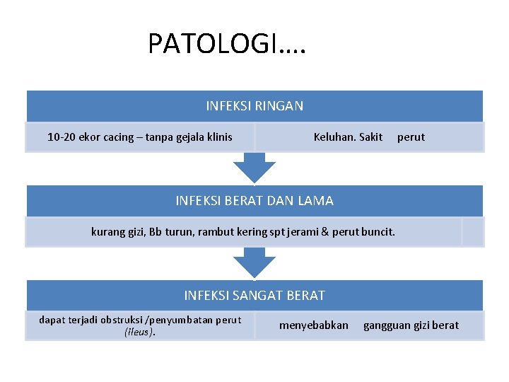 PATOLOGI…. INFEKSI RINGAN 10 -20 ekor cacing – tanpa gejala klinis Keluhan. Sakit perut