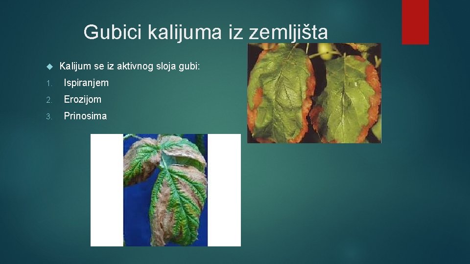 Gubici kalijuma iz zemljišta Kalijum se iz aktivnog sloja gubi: 1. Ispiranjem 2. Erozijom