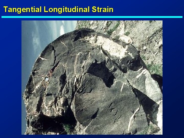 Tangential Longitudinal Strain 