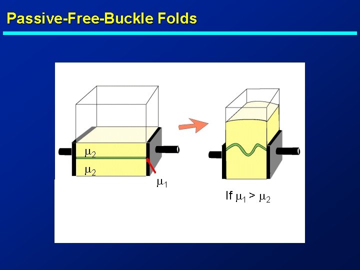 Passive-Free-Buckle Folds m 2 m 1 If m 1 > m 2 