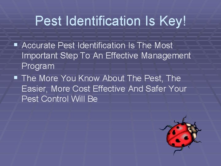 Pest Identification Is Key! § Accurate Pest Identification Is The Most Important Step To