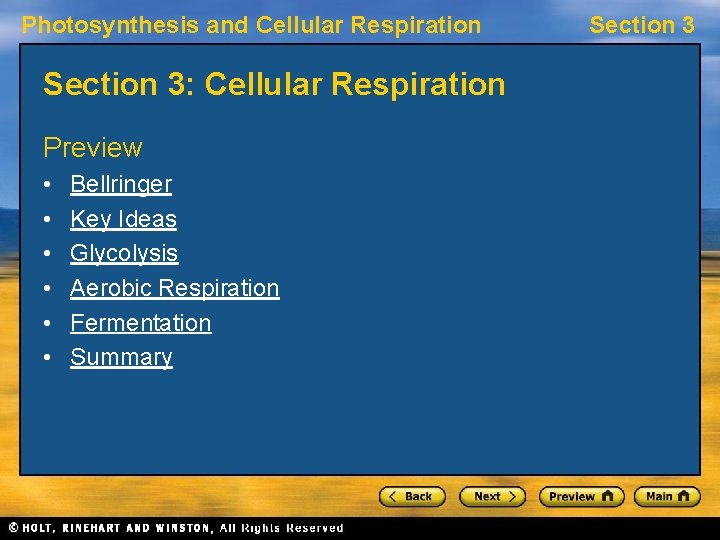 Chapter 5 Photosynthesis And Cellular Respiration Answer Key