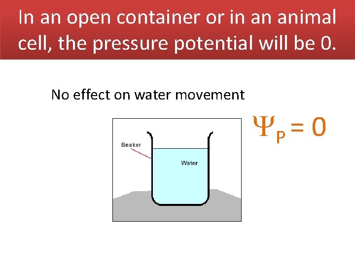 In an open container or in an animal cell, the pressure potential will be