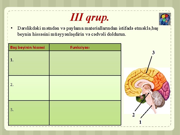 III qrup. • Dərslikdəki mətndən və paylama materiallarından istifadə etməklə, baş beynin hissəsini müəyyənləşdirin