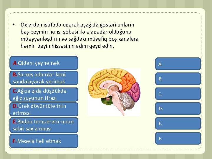  • Oxlardan istifadə edərək aşağıda göstərilənlərin baş beyinin hansı şöbəsi ilə əlaqədar olduğunu