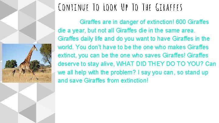 Continue To Look Up To The Giraffes are in danger of extinction! 600 Giraffes