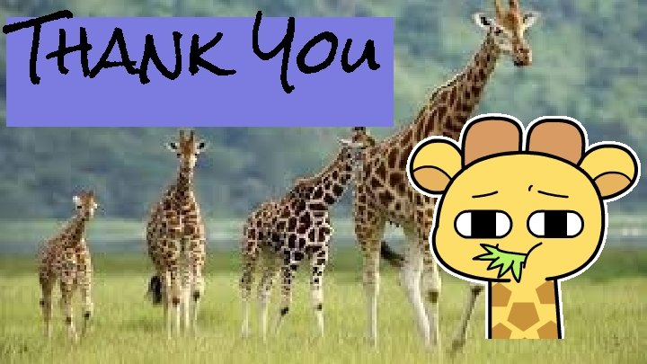 Thank You 