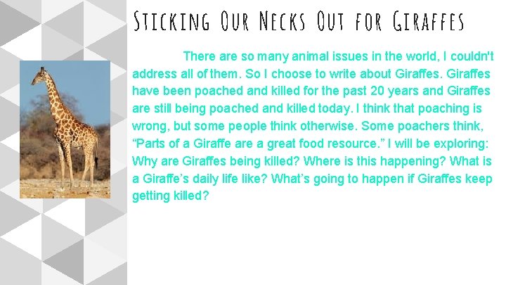 Sticking Our Necks Out for Giraffes There are so many animal issues in the