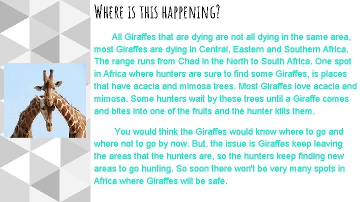 Where is this happening? All Giraffes that are dying are not all dying in