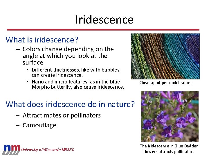 Iridescence What is iridescence? – Colors change depending on the angle at which you