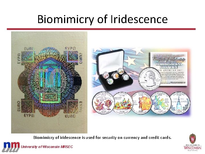 Biomimicry of Iridescence Biomimicry of iridescence is used for security on currency and credit