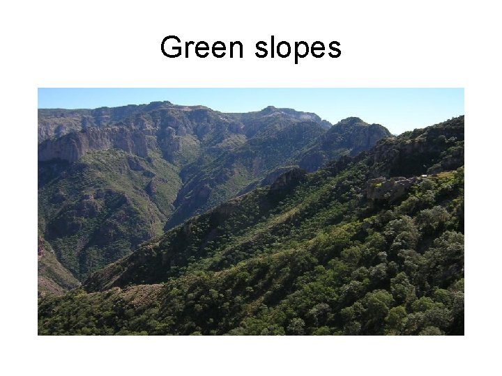 Green slopes 