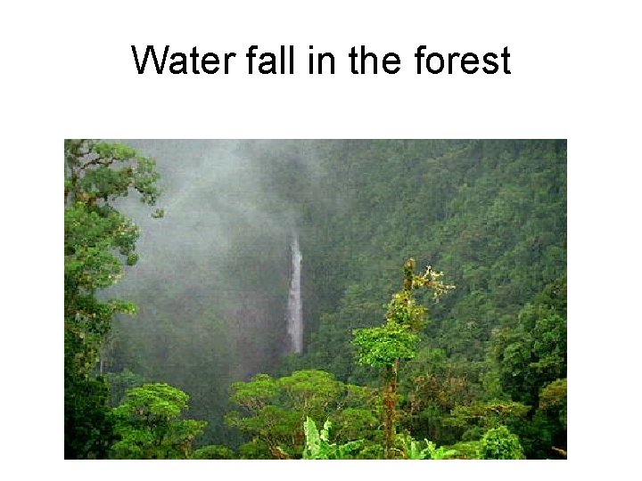 Water fall in the forest 