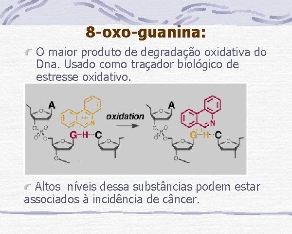 8 -oxo-guanina: O maior produto de degradação oxidativa do Dna. Usado como traçador biológico