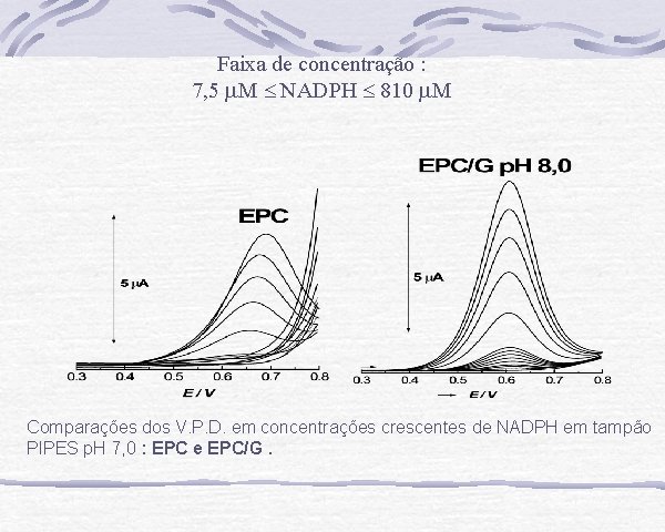 Faixa de concentração : 7, 5 M NADPH 810 M Comparações dos V. P.