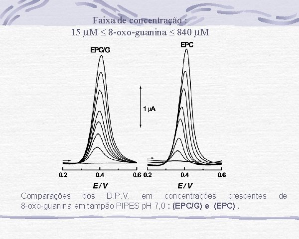 Faixa de concentração : 15 M 8 -oxo-guanina 840 M Comparações dos D. P.