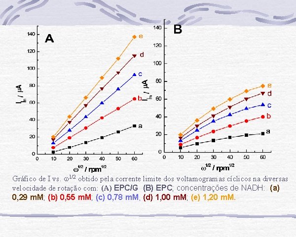 Gráfico de I vs. 1/2 obtido pela corrente limite dos voltamogramas cíclicos na diversas