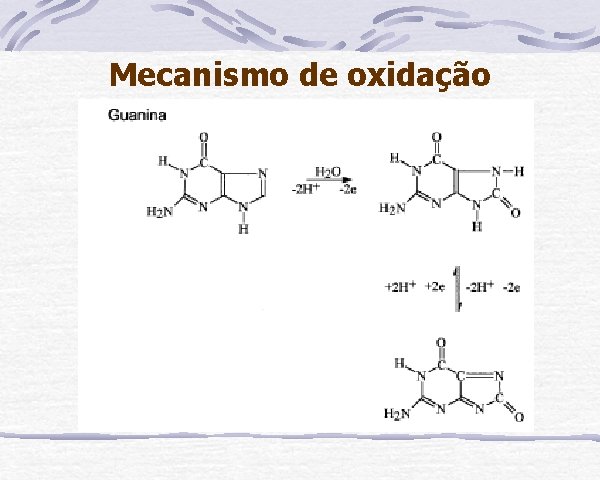 Mecanismo de oxidação 