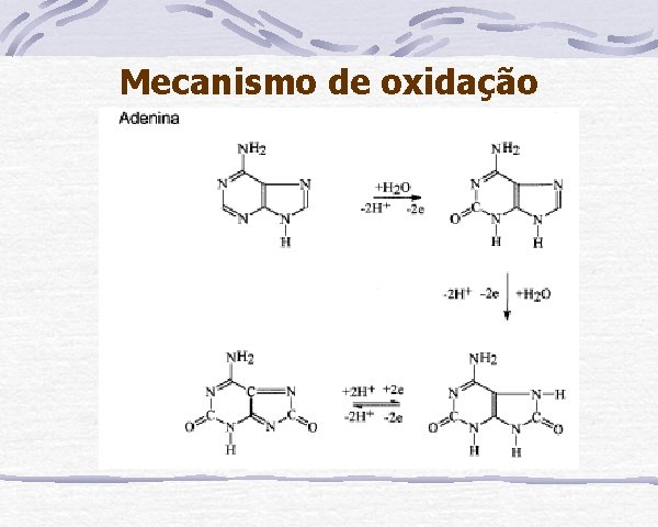 Mecanismo de oxidação 