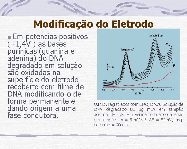 Modificação do Eletrodo Em potencias positivos (+1, 4 V ) as bases purínicas (guanina