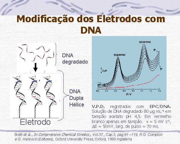 Modificação dos Eletrodos com DNA degradado DNA Dupla Hélice Eletrodo V. P. D. registrados