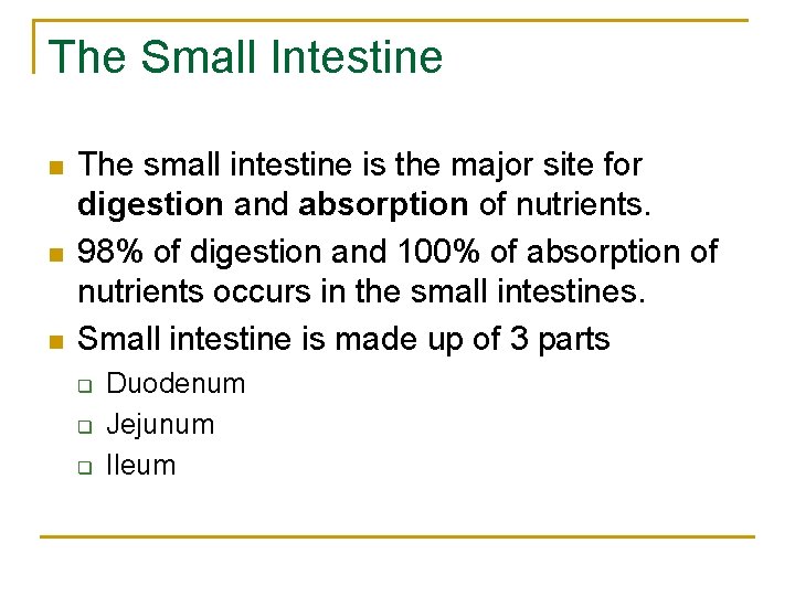 The Small Intestine n n n The small intestine is the major site for