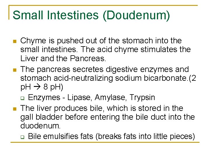 Small Intestines (Doudenum) n n n Chyme is pushed out of the stomach into