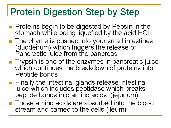 Protein Digestion Step by Step n n n Proteins begin to be digested by