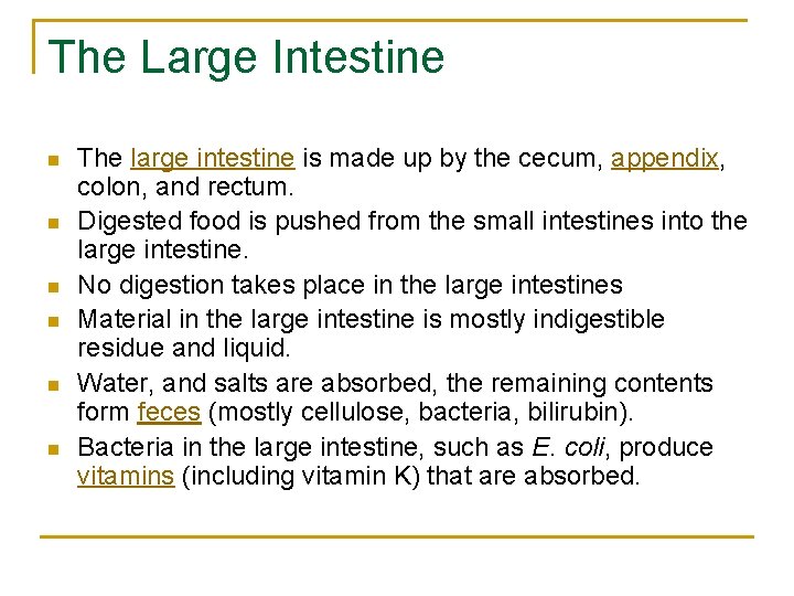 The Large Intestine n n n The large intestine is made up by the
