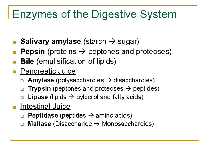 Enzymes of the Digestive System n n Salivary amylase (starch sugar) Pepsin (proteins peptones