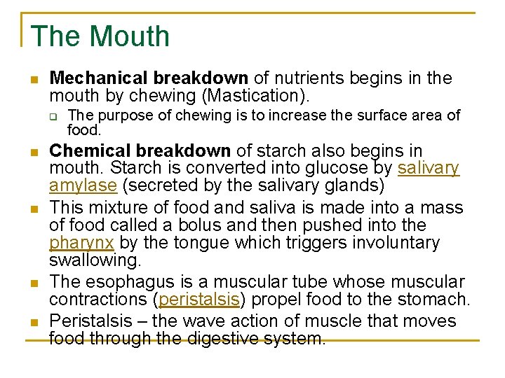 The Mouth n Mechanical breakdown of nutrients begins in the mouth by chewing (Mastication).