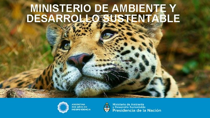 MINISTERIO DE AMBIENTE Y DESARROLLO SUSTENTABLE 